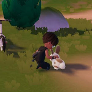 Rabbit